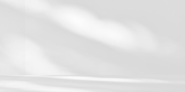 Minimalist white room interior featuring soft sunlight and leaf shadows on clean wall and floor. Ideal for product mockups serene backgrounds and modern aesthetic displays