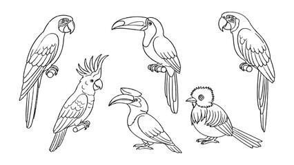 Fototapeta premium Tropical Avian Collection: A captivating black and white illustration of various vibrant tropical birds. Featuring intricate details, showcasing each species' unique plumage and characteristics.