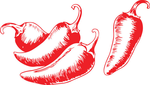 Red chili peppers isolated on a white background for spicy food concepts. chili peppers doodle hand drawn set. chili, pepper, jalapeno,vegetable, food vector icons.
