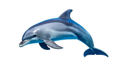 Fototapeta premium Graceful Dolphin Leaping - A Captivating Marine Mammal Portrait.