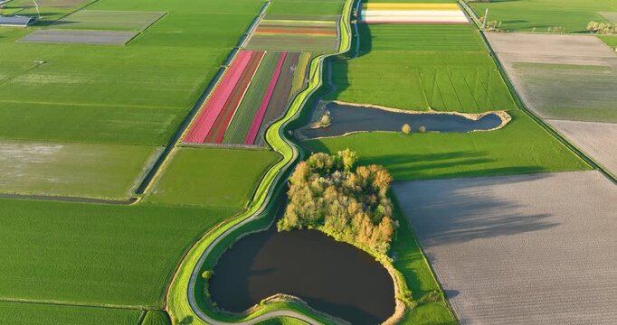 Aerial view of a winding road on a dam surrounded by fresh green fields. Drone shot of an asphalt path curving through the rural countryside on a bright sunny day. Scenic transportation infrastructure