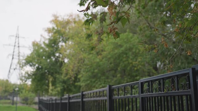 person walking along iron fence under overcast sky, dark jacket silhouette moves beside tall black railing bordering leafy park path hand brushes bars, slow reflective pace, fallen leaves on grass,
