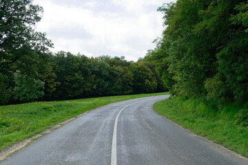 Fototapeta premium A scenic country road curves through a vibrant, green landscape under a cloudy sky.