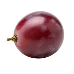 Single ripe, dark red grape close-up shot on transparent background