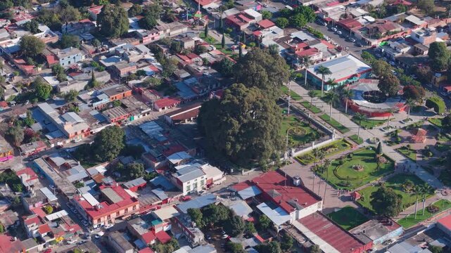 Santa Mar&iacute;a del Tule from above featuring world-famous Tule Tree, Oaxaca