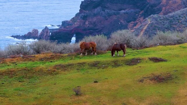 Tsutenkyo Arch and Matengai Cliffs, Aerial Establishing Shot of Oki Islands