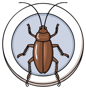 Cartoon Brown Cockroach Inside Round Frame Pest Control Vector Illustration