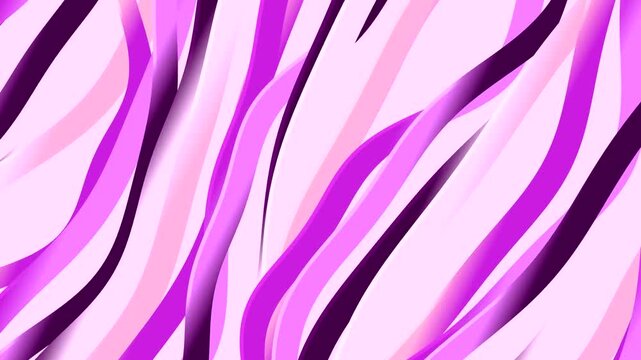 Purple pink zebra stripe pattern design.
