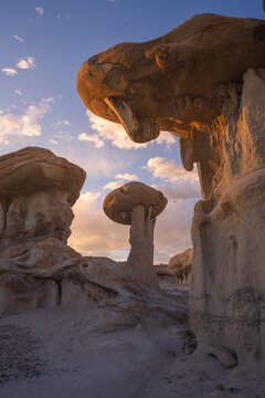 View of bizarre rock formations, sculpted by wind and time, stand bathed in the warm glow of the setting sun, creating shadows, Farmington, New Mexico, United States.