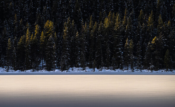 View of golden light kissing the tips of snow-laden evergreens bordering a frozen lake, a serene contrast of warmth and ice, Improvement District No. 9, Canada.