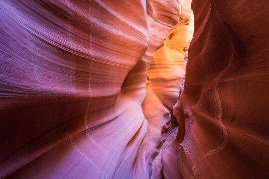 View of swirling sandstone walls in a slot canyon, carved by time and water, reveal shades of purple, orange, and pink in Escalante, Utah, United States.
