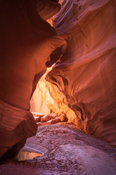 View of textured, swirling sandstone walls embrace a narrow canyon passage, reflecting warm light onto the damp ground in Escalante, Utah, United States.