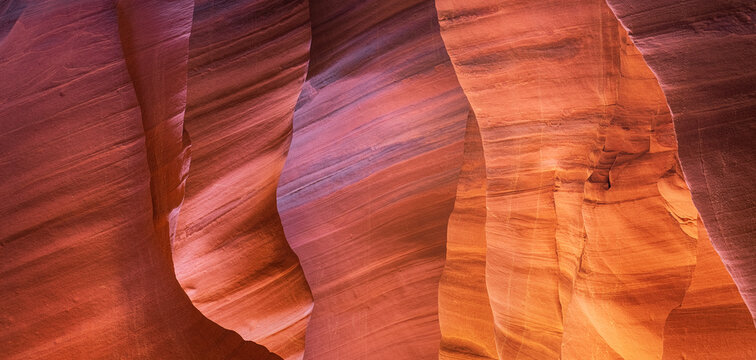 View of the sandstone canyon walls with layered textures glow in shades of red, orange, and purple, creating a surreal, geological wonder, Escalante, Utah, United States.