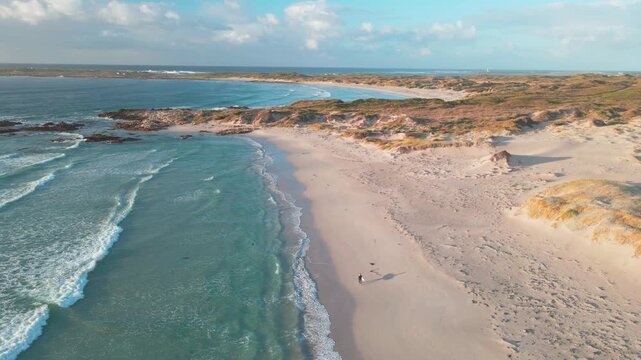 Aerial view of sufer walking on the sandy beach meeting the turquoise ocean, with rocky outcrops and dunes covered in vegetation, Betty's Bay, Western Cape, South Africa.