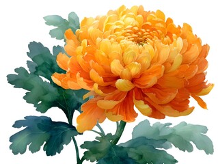 A vibrant watercolor painting showcases a golden chrysanthemum flower with detailed petals and verdant leaves against a pristine white background.