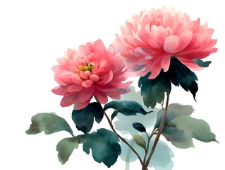 Delicate watercolor painting features a pair of exquisite pink peony flowers with lush green leaves, rendered on a clean, white background elegantly.