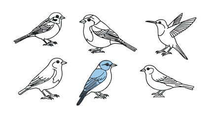 Fototapeta premium Sketchbook Flight: An elegant collection of six unique birds, captured in detailed line art, each poised and graceful. A celebration of avian diversity, rendered with an artistic flair.