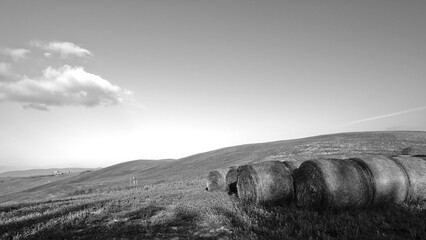 Naklejka premium Italia panorami della Toscana in bianco e nero. Provincia di Siena,Val D'Orcia e Chianti Senese. Toscana, Italia 