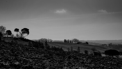 Naklejka premium Italia panorami della Toscana in bianco e nero. Provincia di Siena,Val D'Orcia e Chianti Senese. Toscana, Italia 
