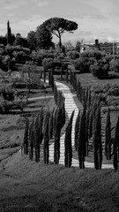 Naklejka premium Italia panorami della Toscana in bianco e nero. Provincia di Siena,Val D'Orcia e Chianti Senese. Toscana, Italia 