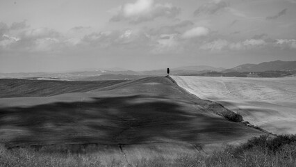 Naklejka premium Italia panorami della Toscana in bianco e nero. Provincia di Siena,Val D'Orcia e Chianti Senese. Toscana, Italia 