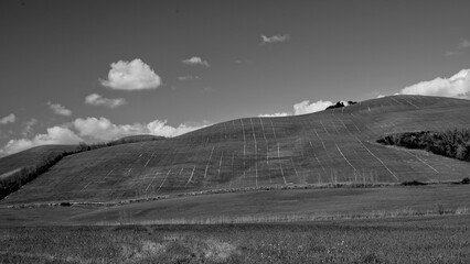 Naklejka premium Italia panorami della Toscana in bianco e nero. Provincia di Siena,Val D'Orcia e Chianti Senese. Toscana, Italia 