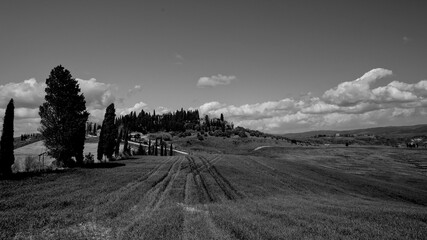 Naklejka premium Italia panorami della Toscana in bianco e nero. Provincia di Siena,Val D'Orcia e Chianti Senese. Toscana, Italia 