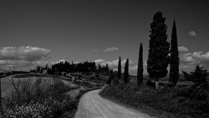 Naklejka premium Italia panorami della Toscana in bianco e nero. Provincia di Siena,Val D'Orcia e Chianti Senese. Toscana, Italia 