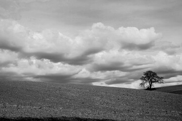 Naklejka premium Italia panorami della Toscana in bianco e nero. Provincia di Siena,Val D'Orcia e Chianti Senese. Toscana, Italia 