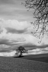 Naklejka premium Italia panorami della Toscana in bianco e nero. Provincia di Siena,Val D'Orcia e Chianti Senese. Toscana, Italia 