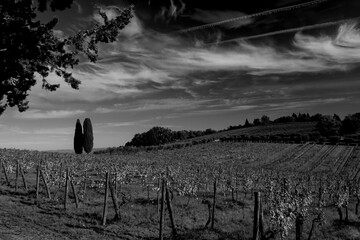 Naklejka premium Italia panorami della Toscana in bianco e nero. Provincia di Siena,Val D'Orcia e Chianti Senese. Toscana, Italia 