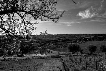 Naklejka premium Italia panorami della Toscana in bianco e nero. Provincia di Siena,Val D'Orcia e Chianti Senese. Toscana, Italia 