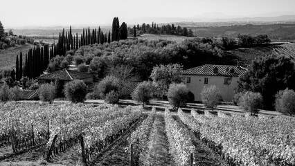 Naklejka premium Italia panorami della Toscana in bianco e nero. Provincia di Siena,Val D'Orcia e Chianti Senese. Toscana, Italia 