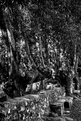 Naklejka premium Italia panorami della Toscana in bianco e nero. Provincia di Siena,Val D'Orcia e Chianti Senese. Toscana, Italia 