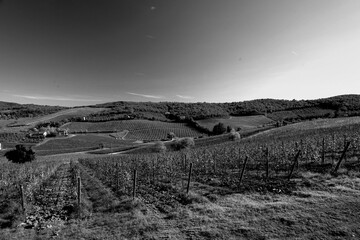 Naklejka premium Italia panorami della Toscana in bianco e nero. Provincia di Siena,Val D'Orcia e Chianti Senese. Toscana, Italia 