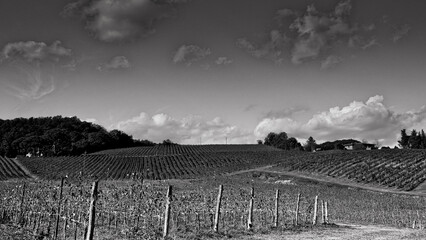 Naklejka premium Italia panorami della Toscana in bianco e nero. Provincia di Siena,Val D'Orcia e Chianti Senese. Toscana, Italia 
