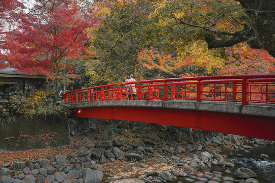 View of a vibrant red bridge arching over a rocky riverbed, framed by the fiery hues of autumn foliage, Katsura River, Izu, Shizuoka, Japan.