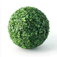 A sphere made of green plants and leaves Isolated on a white background.