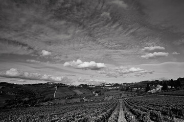 Naklejka premium Italia panorami della Toscana in bianco e nero. Provincia di Siena,Val D'Orcia e Chianti Senese. Toscana, Italia 