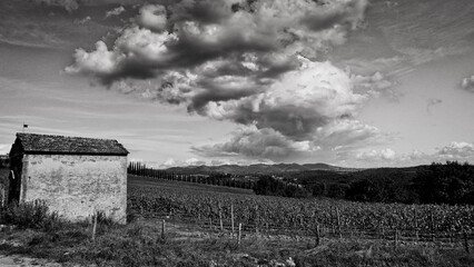Naklejka premium Italia panorami della Toscana in bianco e nero. Provincia di Siena,Val D'Orcia e Chianti Senese. Toscana, Italia 