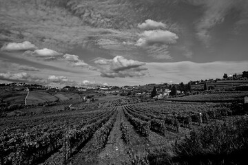 Naklejka premium Italia panorami della Toscana in bianco e nero. Provincia di Siena,Val D'Orcia e Chianti Senese. Toscana, Italia 