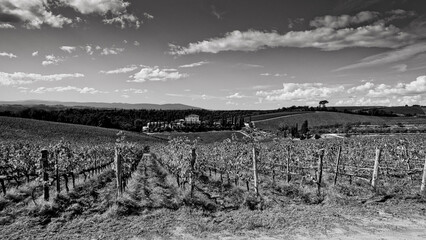 Naklejka premium Italia panorami della Toscana in bianco e nero. Provincia di Siena,Val D'Orcia e Chianti Senese. Toscana, Italia 