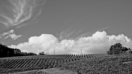 Naklejka premium Italia panorami della Toscana in bianco e nero. Provincia di Siena,Val D'Orcia e Chianti Senese. Toscana, Italia 