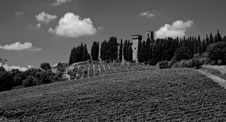 Naklejka premium Italia panorami della Toscana in bianco e nero. Provincia di Siena,Val D'Orcia e Chianti Senese. Toscana, Italia 
