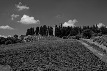 Obraz premium Italia panorami della Toscana in bianco e nero. Provincia di Siena,Val D'Orcia e Chianti Senese. Toscana, Italia 
