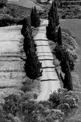 Obraz premium Italia panorami della Toscana in bianco e nero. Provincia di Siena,Val D'Orcia e Chianti Senese. Toscana, Italia 