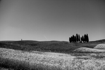 Naklejka premium Italia panorami della Toscana in bianco e nero. Provincia di Siena,Val D'Orcia e Chianti Senese. Toscana, Italia 