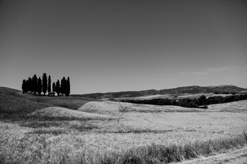 Obraz premium Italia panorami della Toscana in bianco e nero. Provincia di Siena,Val D'Orcia e Chianti Senese. Toscana, Italia 