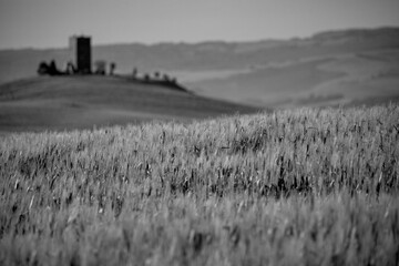 Naklejka premium Italia panorami della Toscana in bianco e nero. Provincia di Siena,Val D'Orcia e Chianti Senese. Toscana, Italia 
