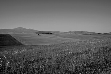 Naklejka premium Italia panorami della Toscana in bianco e nero. Provincia di Siena,Val D'Orcia e Chianti Senese. Toscana, Italia 